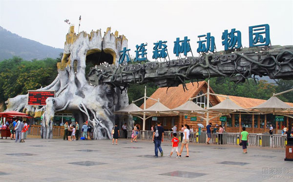 森林动物园