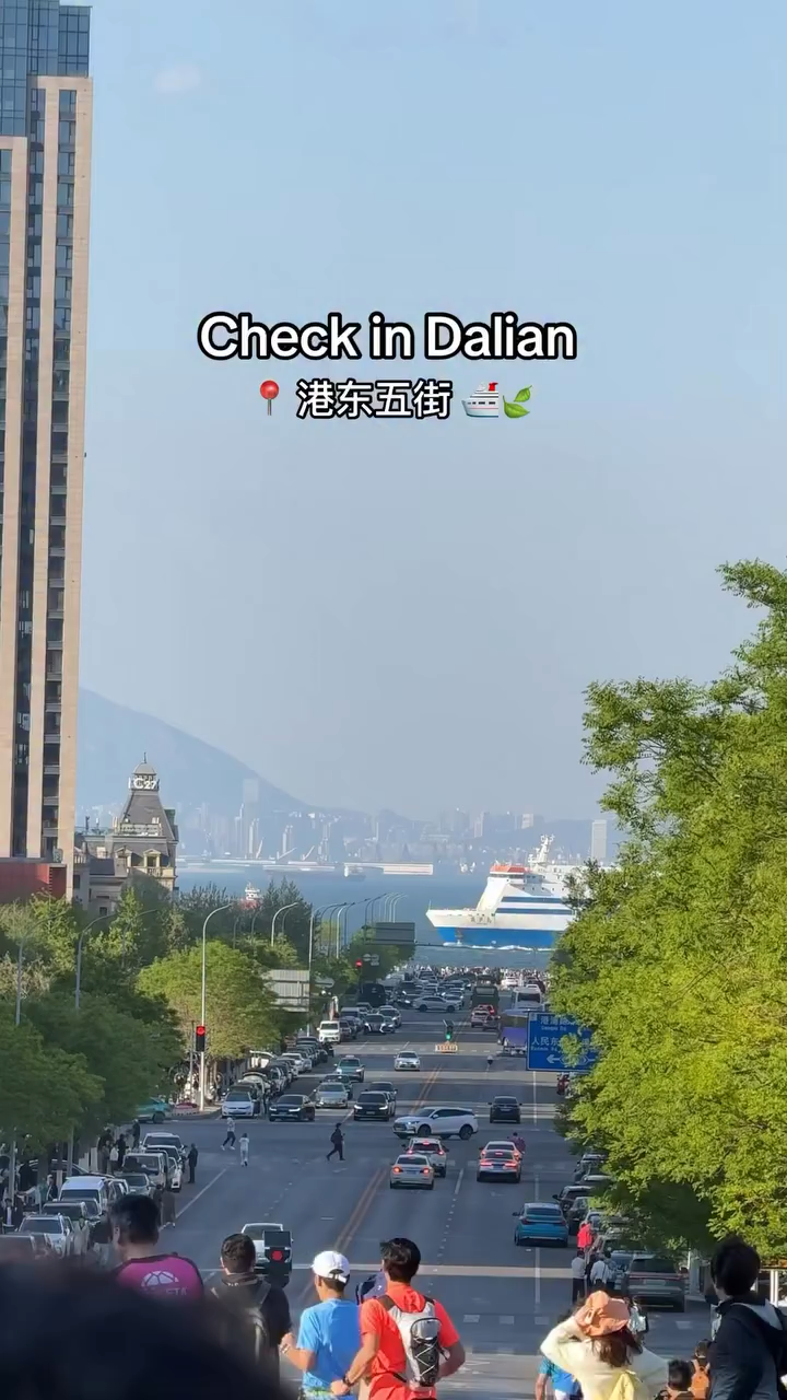 绿色森林视频